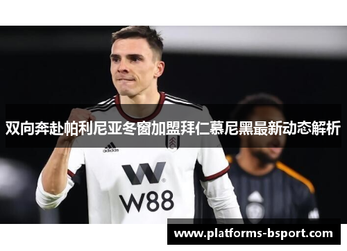 双向奔赴帕利尼亚冬窗加盟拜仁慕尼黑最新动态解析