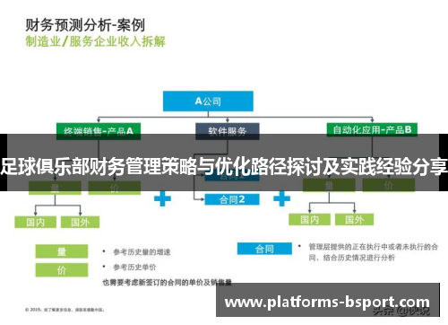 足球俱乐部财务管理策略与优化路径探讨及实践经验分享