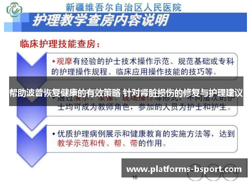 帮助波普恢复健康的有效策略 针对肾脏损伤的修复与护理建议