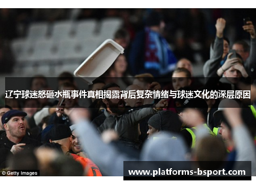 辽宁球迷怒砸水瓶事件真相揭露背后复杂情绪与球迷文化的深层原因
