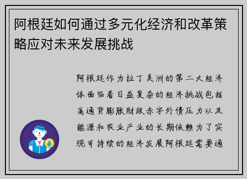 阿根廷如何通过多元化经济和改革策略应对未来发展挑战