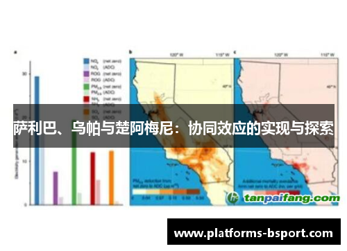 萨利巴、乌帕与楚阿梅尼：协同效应的实现与探索