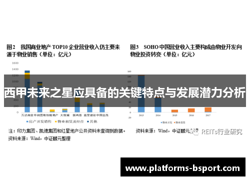 西甲未来之星应具备的关键特点与发展潜力分析 西甲未来之星应具备的关键特点与发展潜力分析