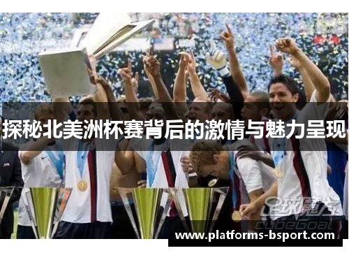 探秘北美洲杯赛背后的激情与魅力呈现