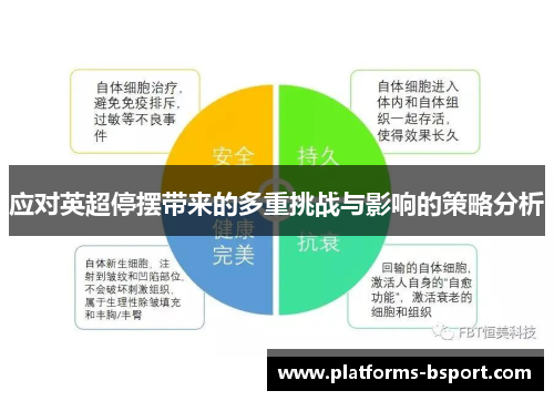 应对英超停摆带来的多重挑战与影响的策略分析