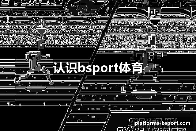 认识bsport体育